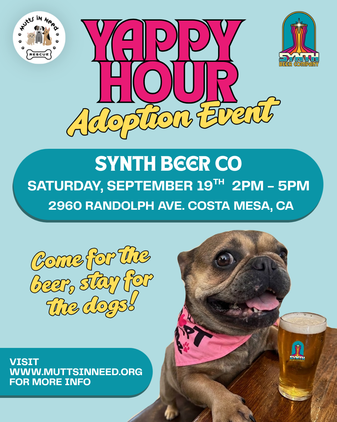 Adoption Event at Synth Beer Co