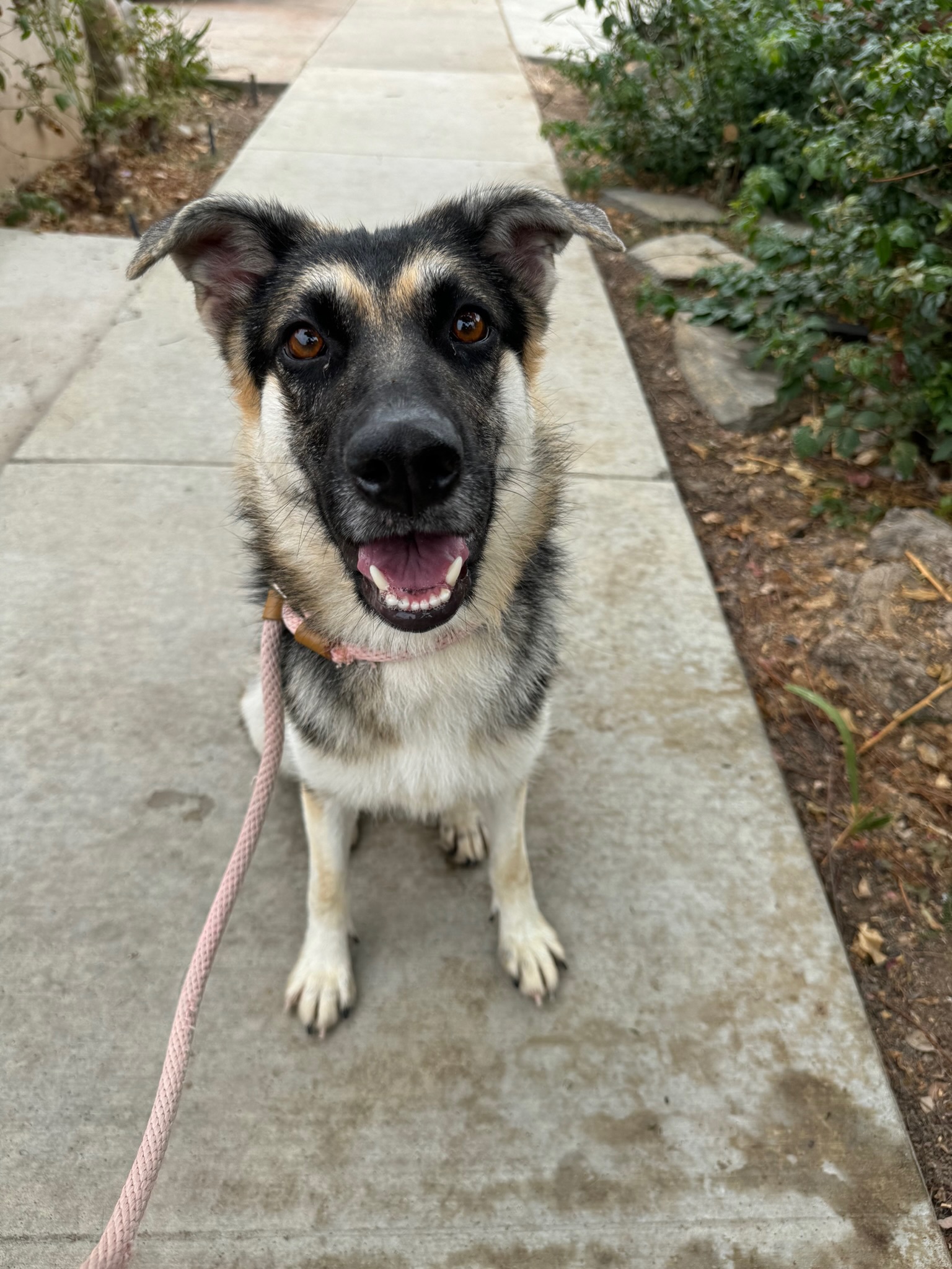 Kaia