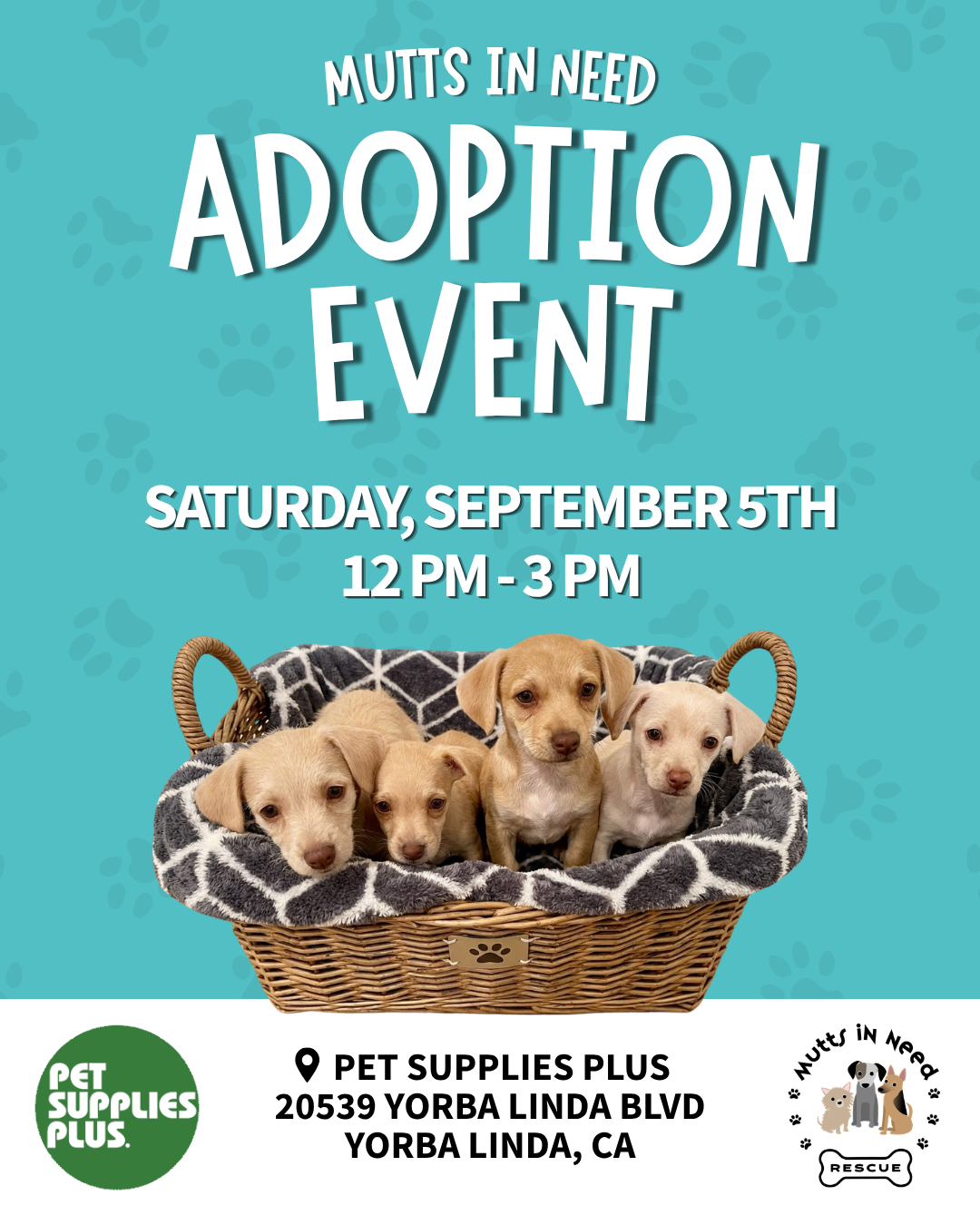Adoption Event at Pet Supplies Plus