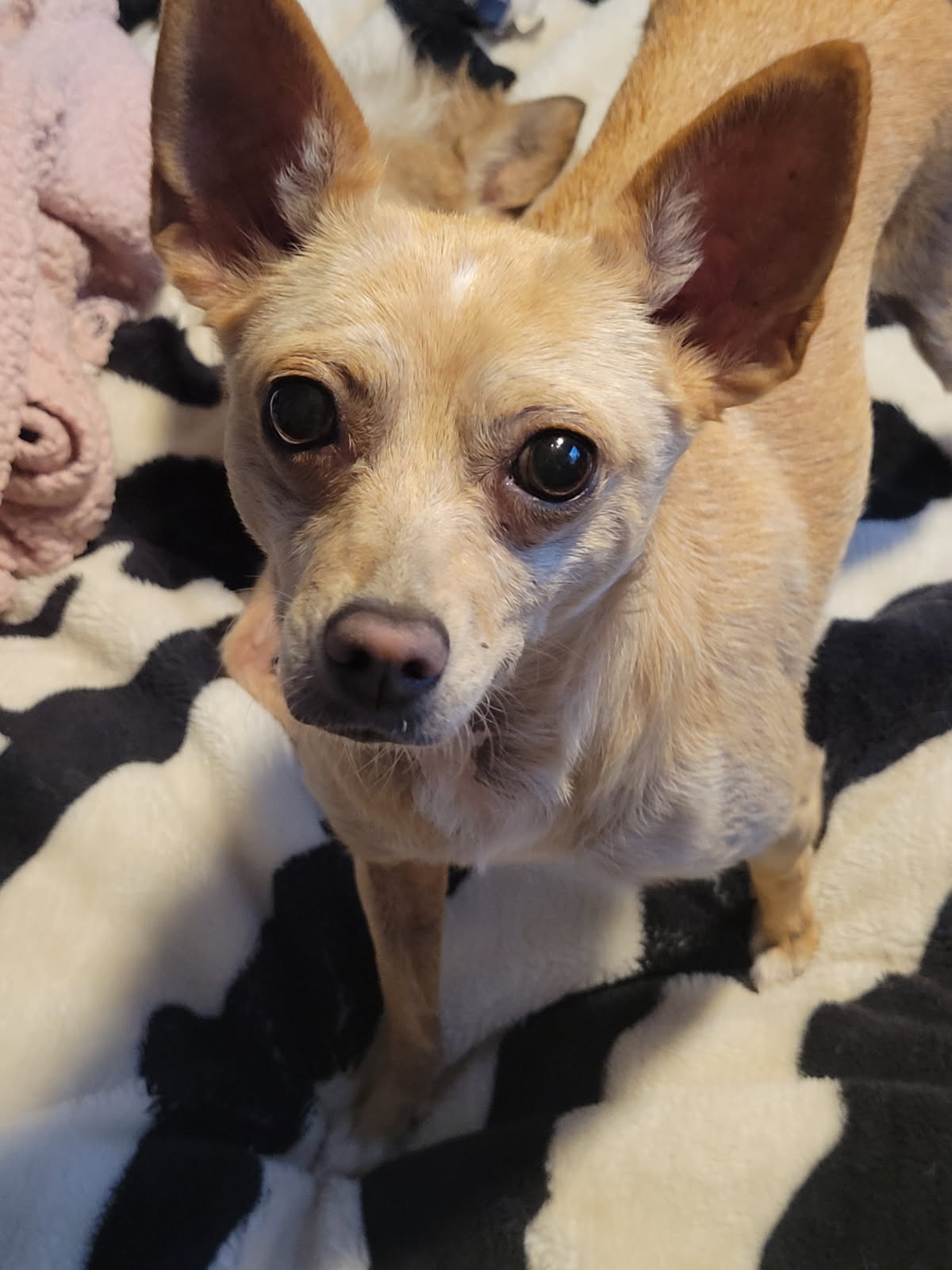 Ethel