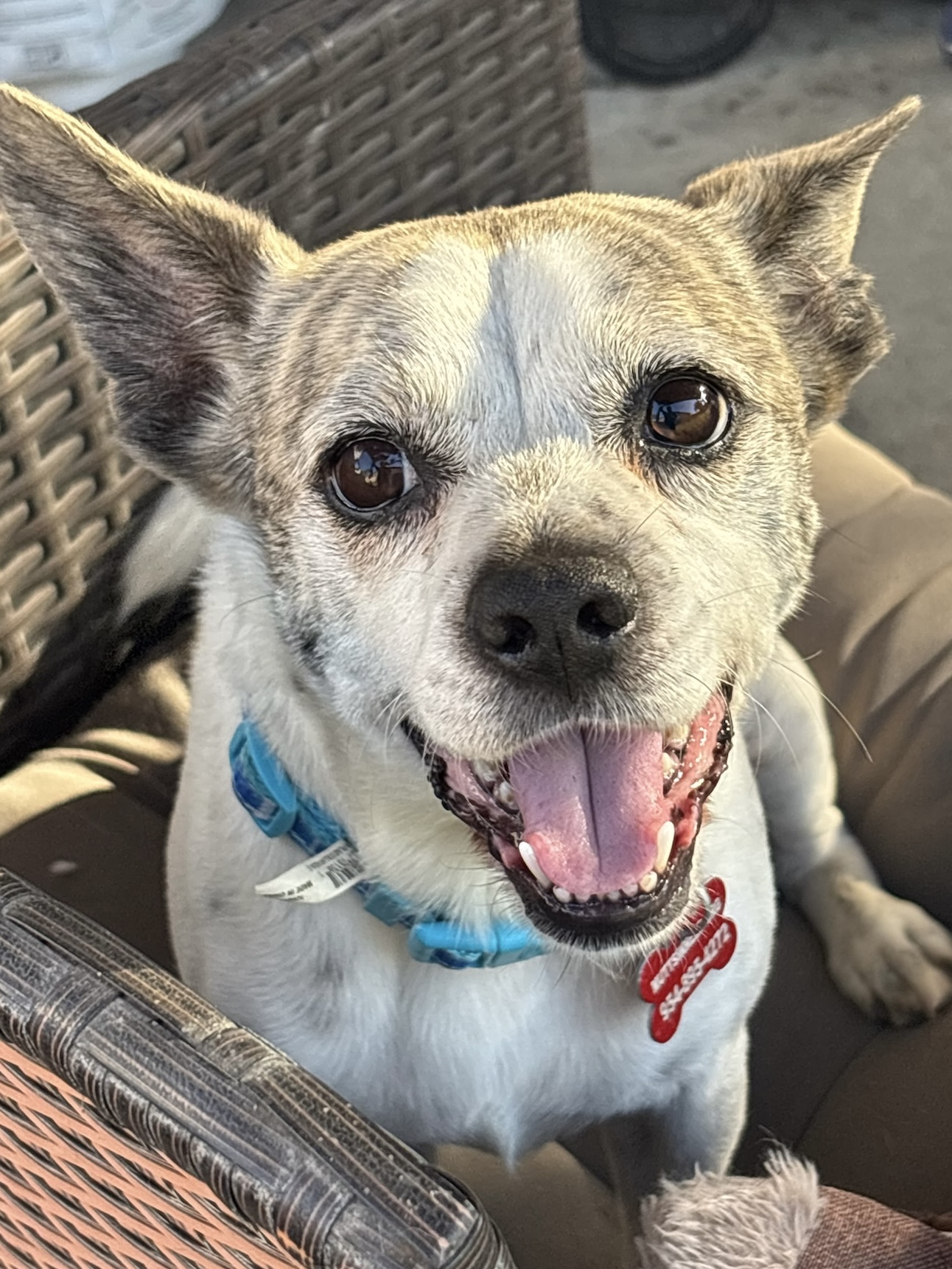 Mateo 