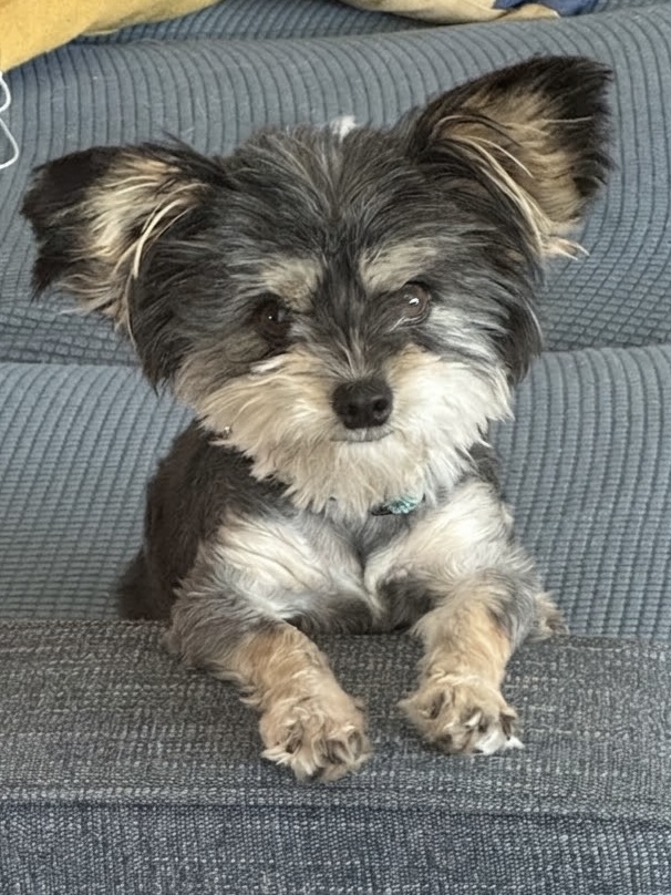 Mimi