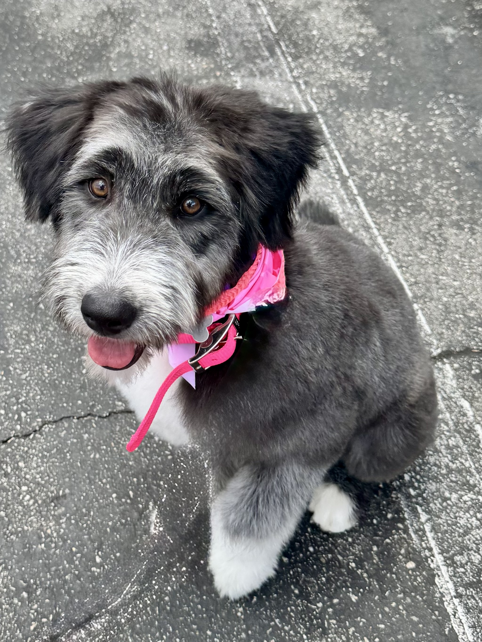 Matilda