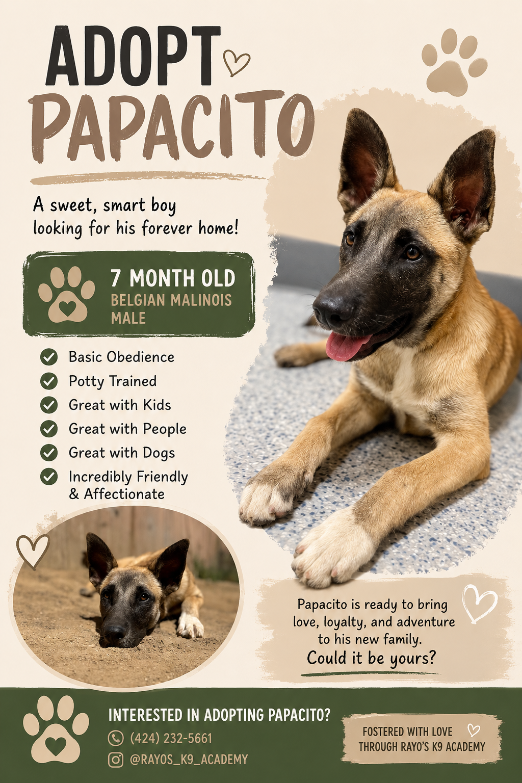 Papacito *courtesy post*