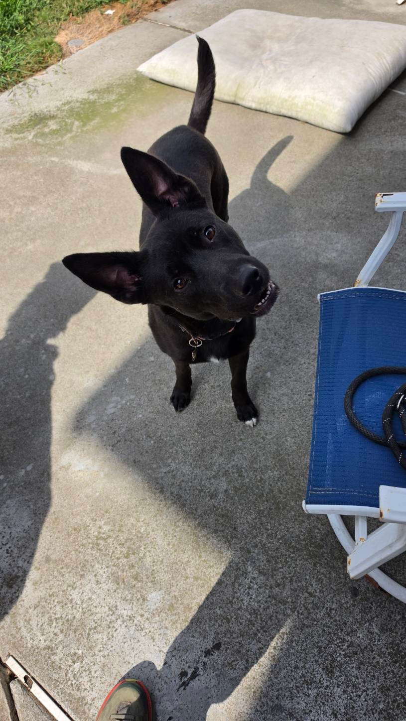 Luna